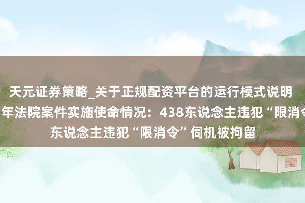 天元证券策略_关于正规配资平台的运行模式说明 福建通报2025年法院案件实施使命情况：438东说念主违犯“限消令”伺机被拘留