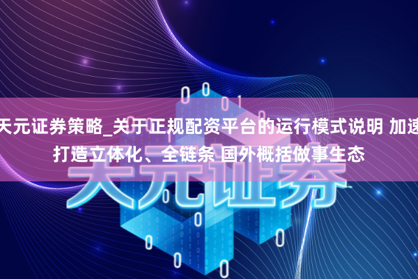 天元证券策略_关于正规配资平台的运行模式说明 加速打造立体化、全链条 国外概括做事生态