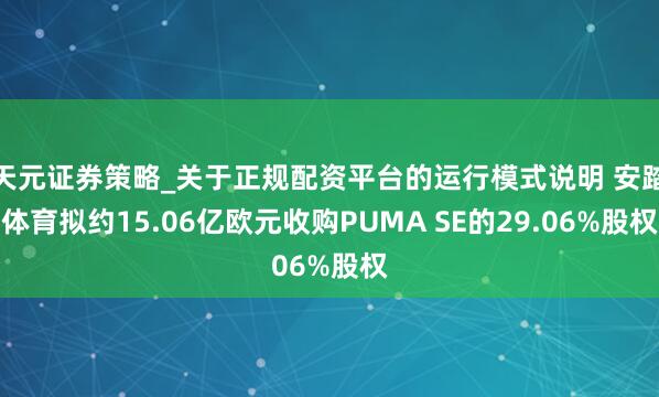 天元证券策略_关于正规配资平台的运行模式说明 安踏体育拟约15.06亿欧元收购PUMA SE的29.06%股权