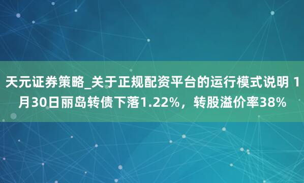 天元证券策略_关于正规配资平台的运行模式说明 1月30日丽岛转债下落1.22%，转股溢价率38%