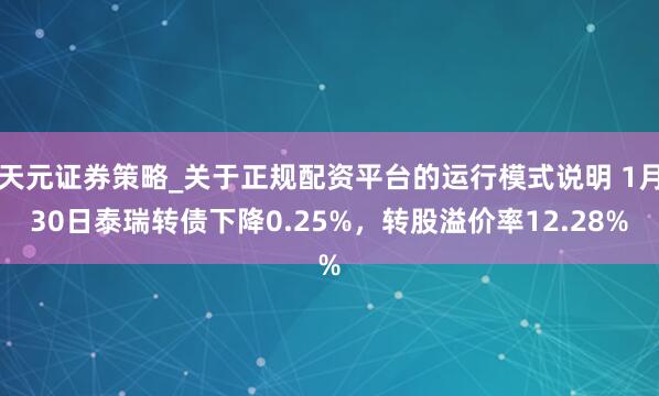 天元证券策略_关于正规配资平台的运行模式说明 1月30日泰瑞转债下降0.25%，转股溢价率12.28%