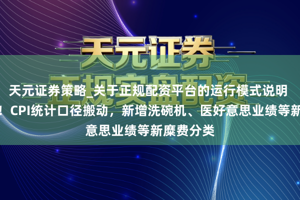 天元证券策略_关于正规配资平台的运行模式说明 最新公布！CPI统计口径搬动，新增洗碗机、医好意思业绩等新糜费分类